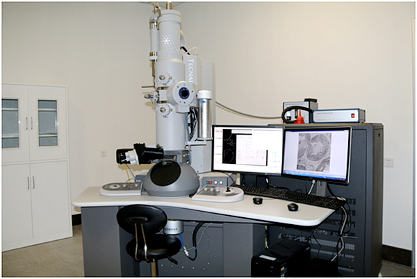 88979eb1e8fb4bf19c50b6f8d8e5d730.png image.png